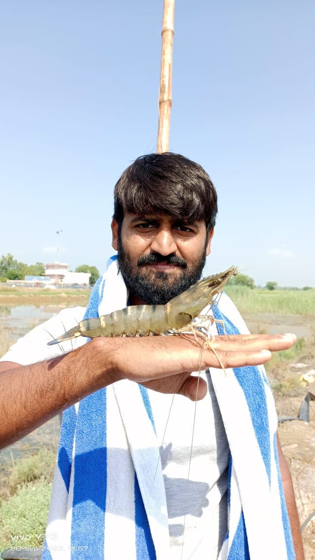 A vibrant coral reef teeming with fish.